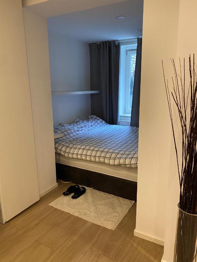 Amazing Flat In Front Of Bois De La Cambre Apartment Brussels Luaran gambar